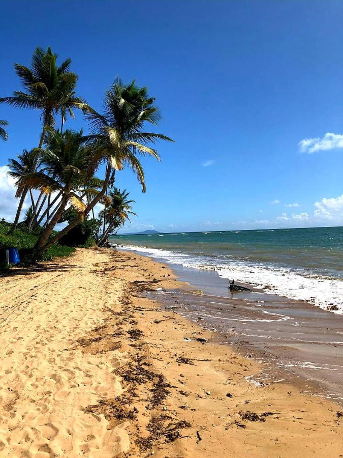 Mariposa Beach House Humacao Zewnętrze zdjęcie